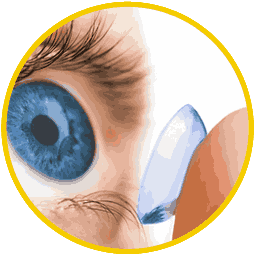 Be the Leading Manufacturer Supervision Optimax commitment to being a leading manufacturer of soft contact lenses